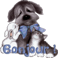 Gif bonjour animaux